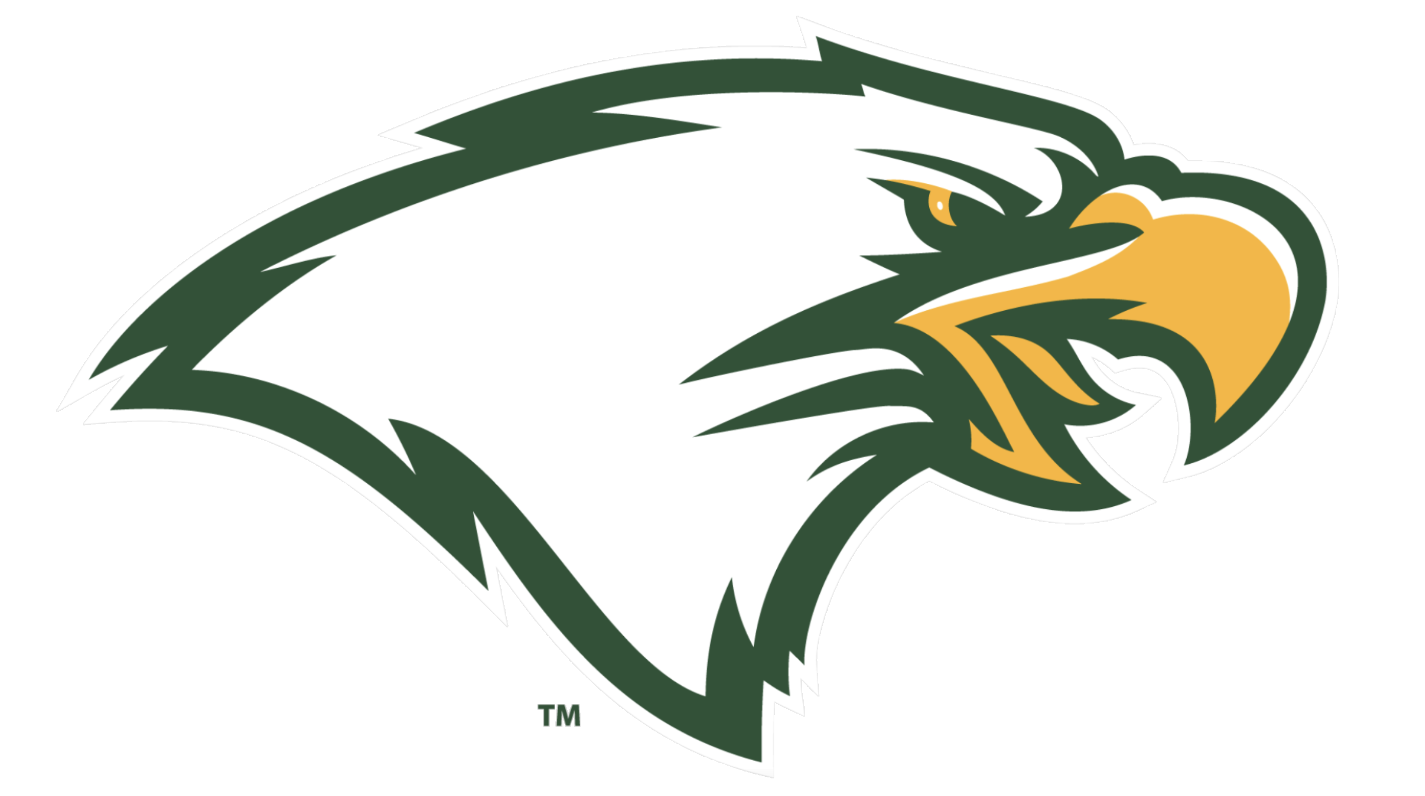 Picture of the logo